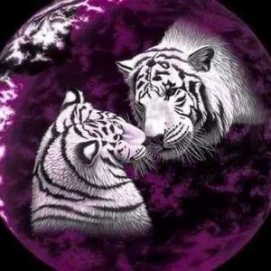 Meet your Posher, Audrey